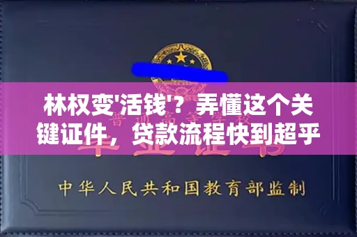 全国林权变'活钱'?弄懂这个关键证件,贷款流程快到超乎想象!