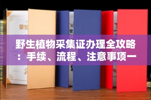 全国野生植物采集证办理全攻略:手续、流程、注意事项一网打尽